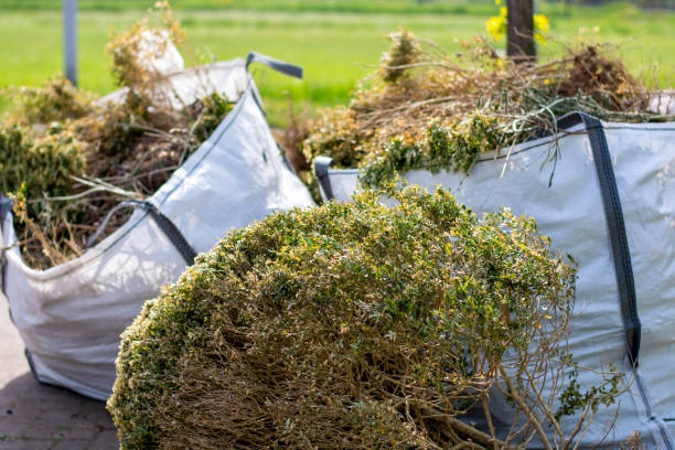 Best Same-Day Junk Removal  in Minden, LA
